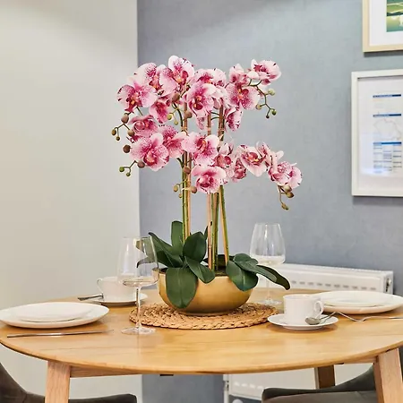 Host & - 1, Dane Court Apartamento